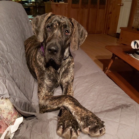 Meet your Posher, Vickie - Picture 1 of 1